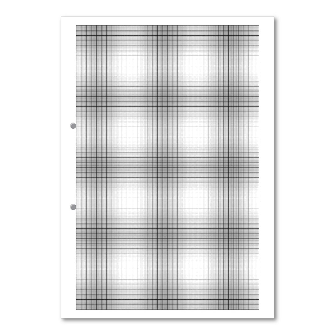 Exercise Graph Paper 10mm Punched A4 - Box of... | Lyreco