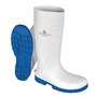 The product picture