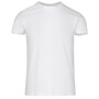 The product picture