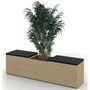 The product picture