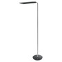 The product picture