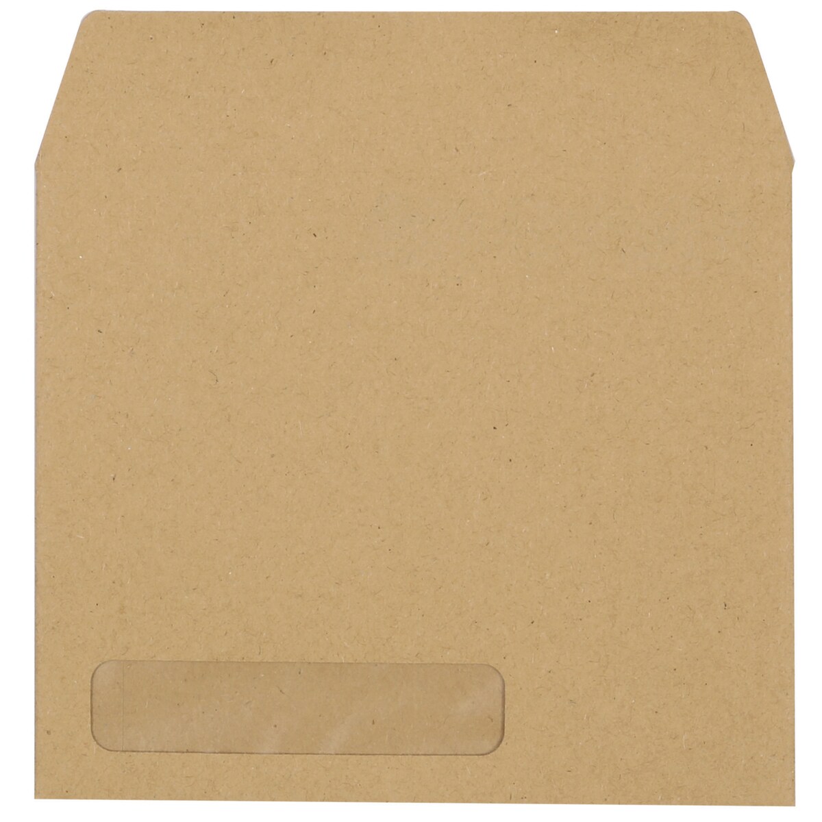 Sage Compatible Payslip Envelope - Box of 1000 1