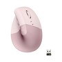 The product picture