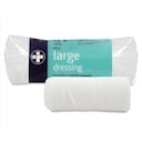 Large Dressing 1