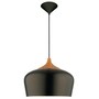 The product picture