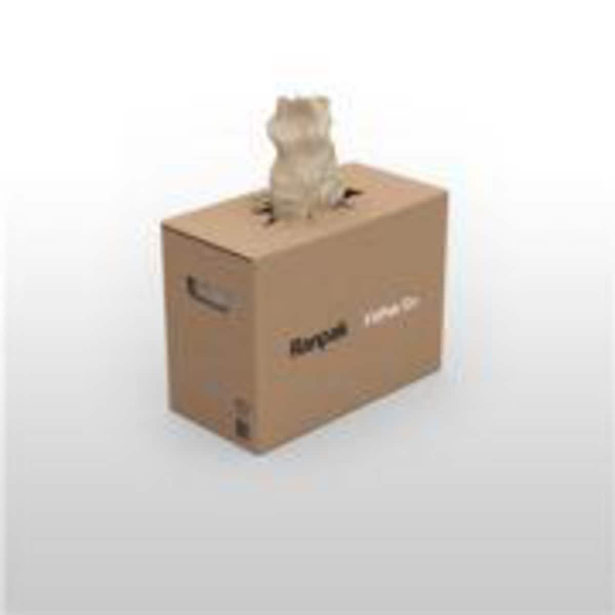 FILLPAK GO VOIDFILL PAPER 70G 380MMX360M 1