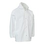 The product picture
