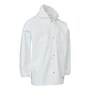 The product picture