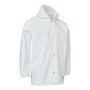 The product picture