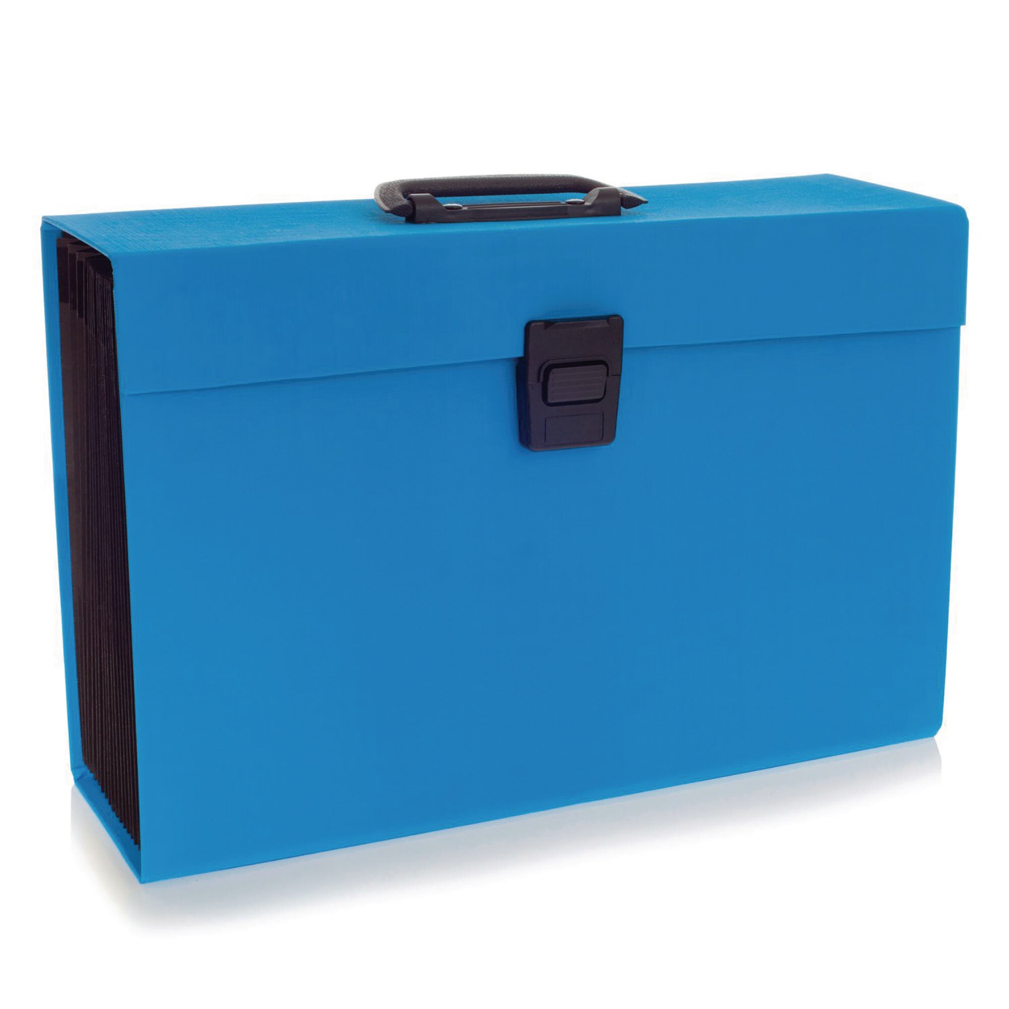 Rexon Box File Cloth REXEL JOY EXPANDING BOX FILE BLUE | Lyreco