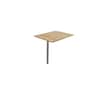 The product picture