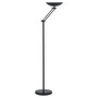 The product picture