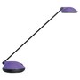The product picture