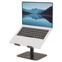 The product picture