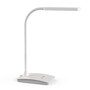 The product picture