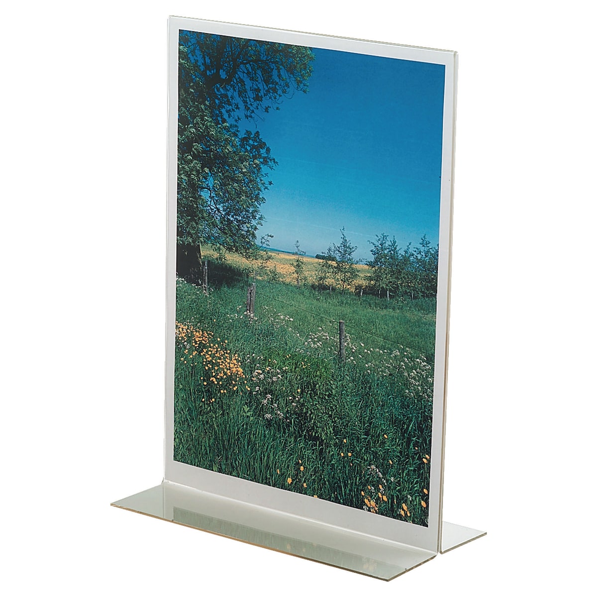 T-Shaped Desktop Display A4 1