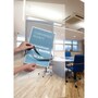 The product picture