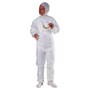 The product picture