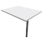 The product picture