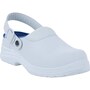 The product picture