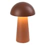 The product picture