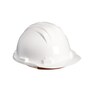 The product picture