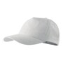 The product picture