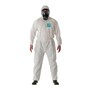 The product picture