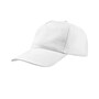 The product picture