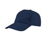 The product picture