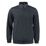 The product picture