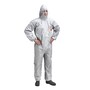 The product picture