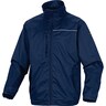 Navy blue-Orange