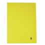 The product picture