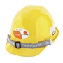 The product picture