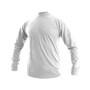 The product picture
