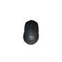 The product picture