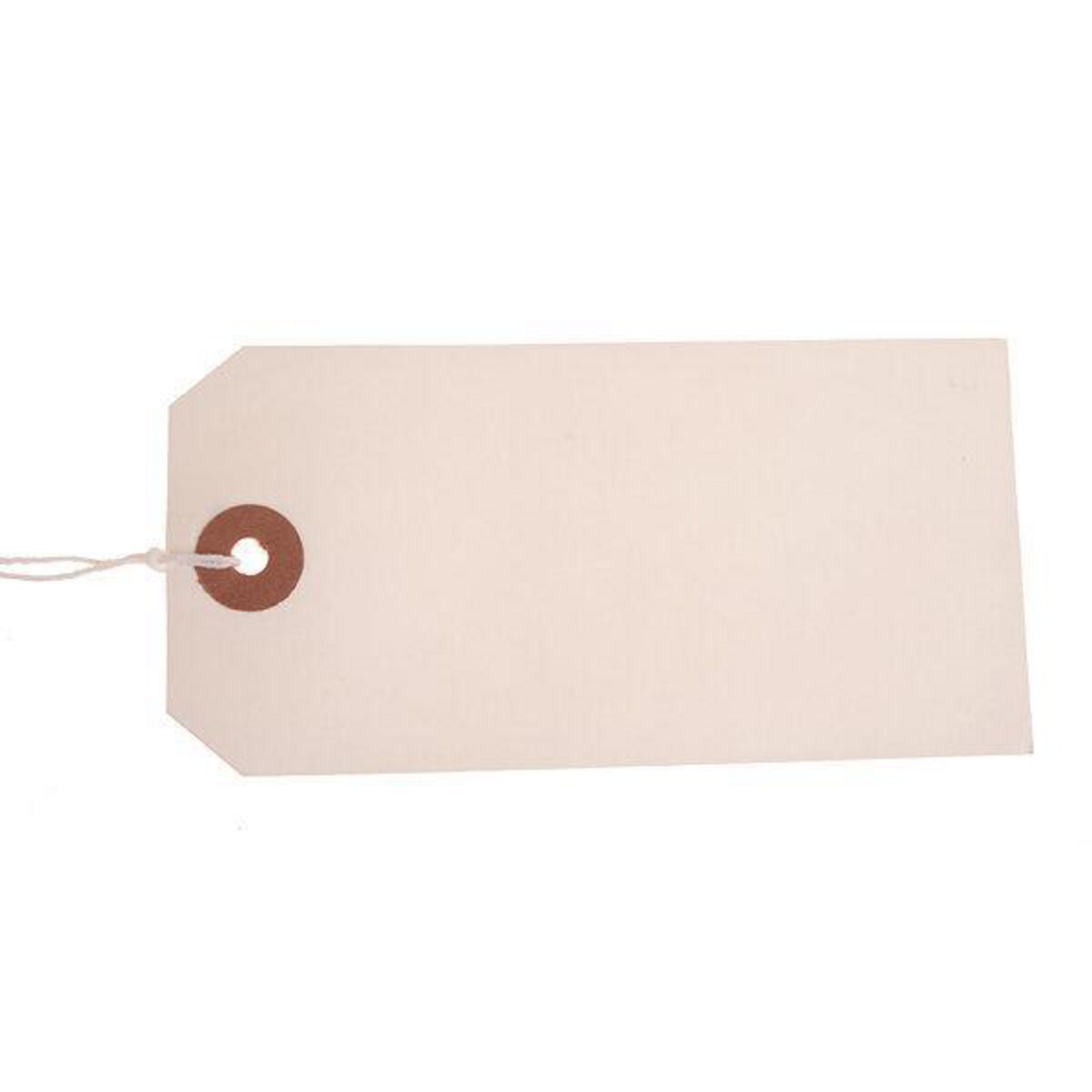 BX1000 Strung Tags White 120x60mm 1