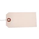 BX1000 Strung Tags White 120x60mm 1