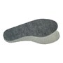 The product picture