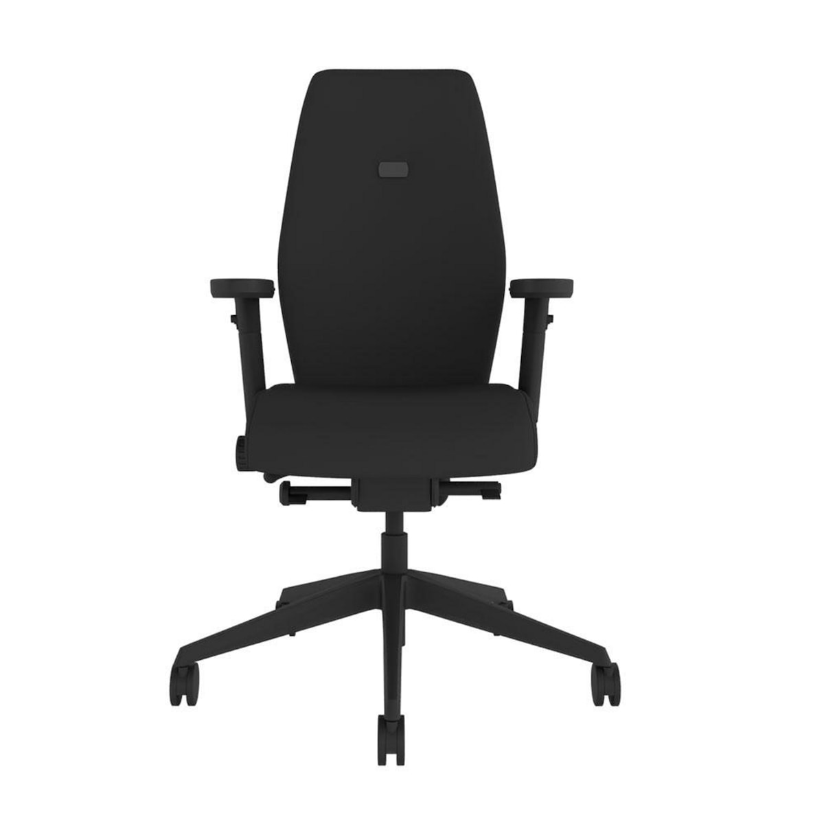 Positiv Plus High Back Chair with Arm Rests 1