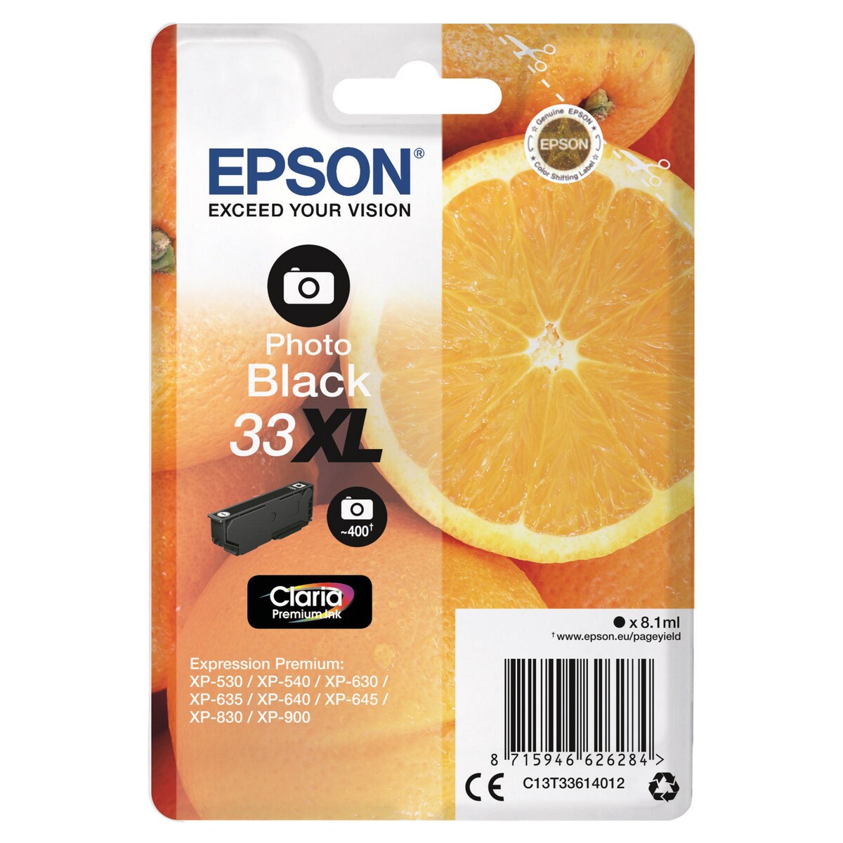 Epson 33XL Ink Cartridge Photo Black 1
