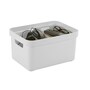 The product picture