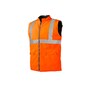 The product picture