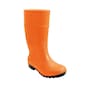The product picture