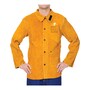 The product picture