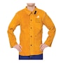 The product picture