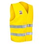 The product picture