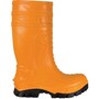 The product picture