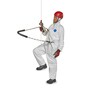 The product picture